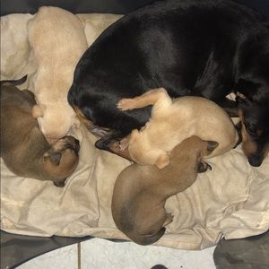 Meet your Posher, Claudinette